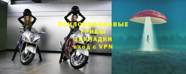 сатива Горно-Алтайск