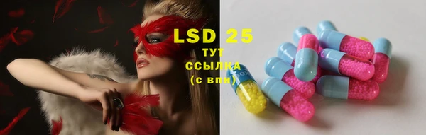 ПСИЛОЦИБИНОВЫЕ ГРИБЫ Горнозаводск