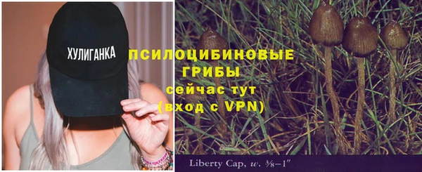 соль курить ск Горняк