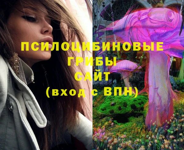 ПСИЛОЦИБИНОВЫЕ ГРИБЫ Горнозаводск