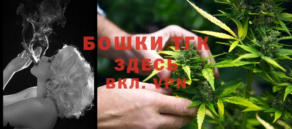 ПСИЛОЦИБИНОВЫЕ ГРИБЫ Горнозаводск