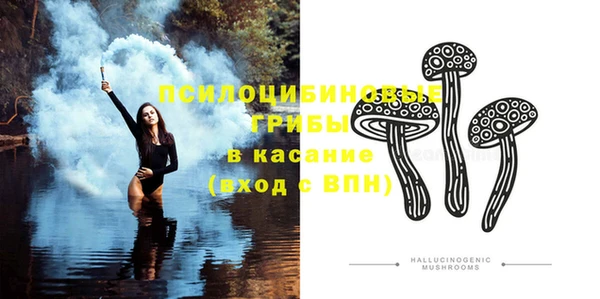 ПСИЛОЦИБИНОВЫЕ ГРИБЫ Горнозаводск