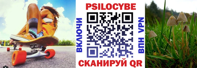 Псилоцибиновые грибы прущие грибы  Облучье 